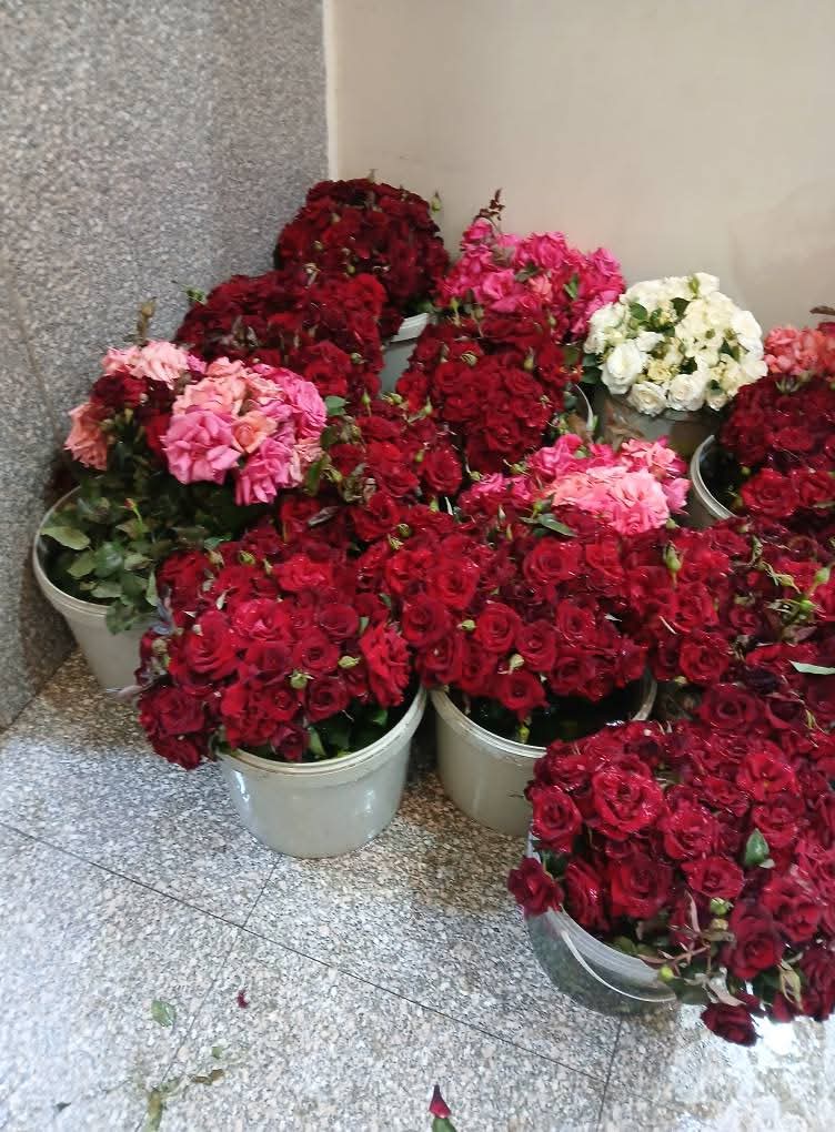 مكتبة بيع الكتب والهدايا